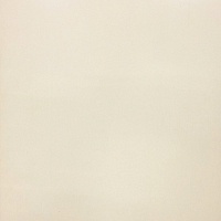 Керамогранит Venatto Blanco Perla 40х60