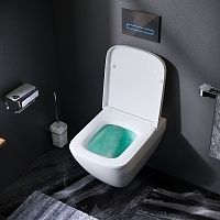 Унитаз подвесной AM.PM Spirit 2.0 с сиденьем микролифт C701701SC