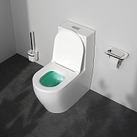 Унитаз напольный AM.PM Func безободковый с бачком с сиденьем микролифт C8F8900SC