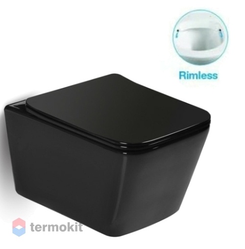 Крышка-сиденье для унитаза SantiLine SL-5004MB-SC