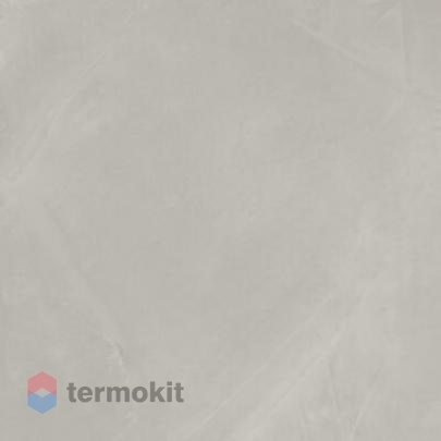 Керамогранит Италон Continuum 610010002674 Сильвер Рет 60x60