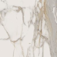 Керамогранит Италон Charme Evo Calacatta Ret 60x60