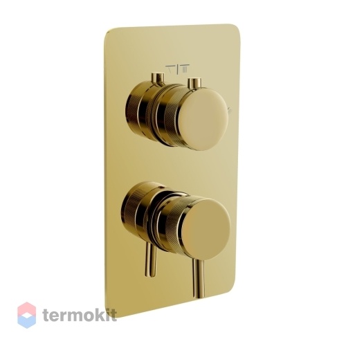 Встраиваемый смеситель для душа Boheme CELL GOLD 135-2-G