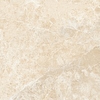 Керамогранит Neodom Sixty N20365 Emperador Beige Satin 60x60