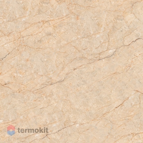 Керамогранит Arcadia Ceramica Sabbia Brown Carving 60x60