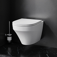 Чаша унитаза подвесного AM.PM Inspire FlashClean C501700WH