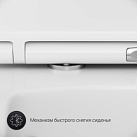 Унитаз подвесной AM.PM Inspire 2.0 FlashClean с сиденьем Microlift C50A1700SC