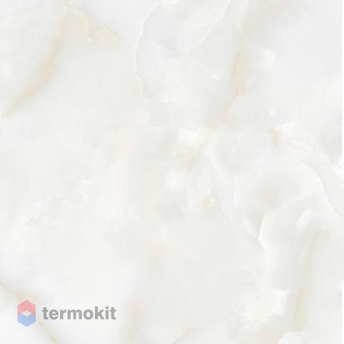 Керамогранит A-Ceramica Raya 166507 Polished 60x60