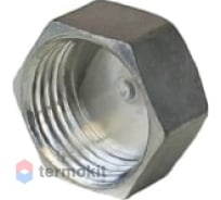 Elsen Заглушка В 1" TIN латунь