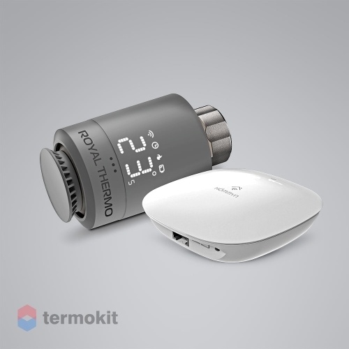 Royal Thermo Стартовый набор для управления отоплением, серебристый