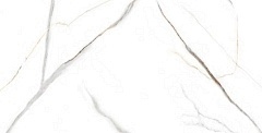 Керамогранит Evolution Ceramic Statuario Venato 60x120