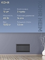 Стальной трубчатый радиатор Kohr Heim 3030/12 секций с боковым подключением 3/4 черный