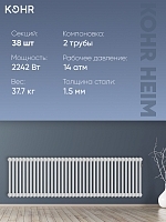 Стальной трубчатый радиатор Kohr Heim 2050/38 секций с боковым подключением 3/4
