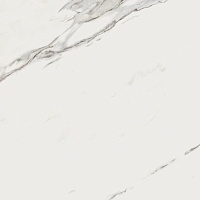Керамогранит Dune Calacatta 188204 Superwhite Rec 90x90