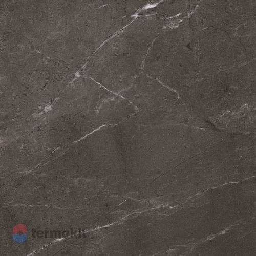 Керамогранит Primavera Perfect Silver Nero high glossy 60x60