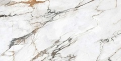 Керамогранит Evolution Ceramic Borghini Brown 60x120