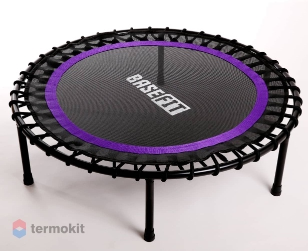 Батут BaseFit TR-501 101 см, фиолетовый