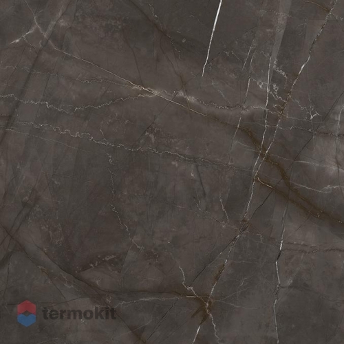 Керамогранит Laparet Timeless Marrone коричневый LP6060G0061R 59,5х59,5 матовый карвинг