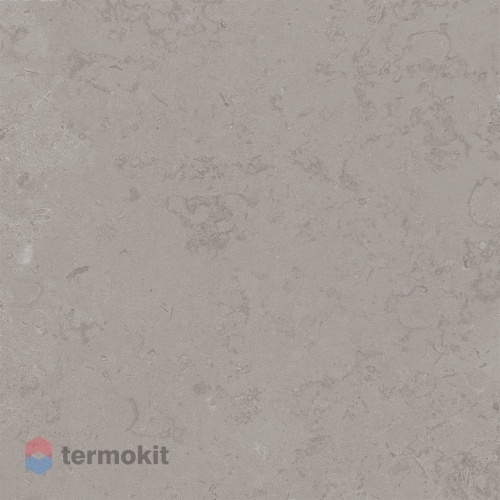 Керамогранит Kerama Marazzi Про Лаймстоун DD640900R серый натуральный обрезной 60х60