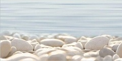Керамическая плитка Alma Ceramica Del mare Декор DWU09DLM604 24,9x50