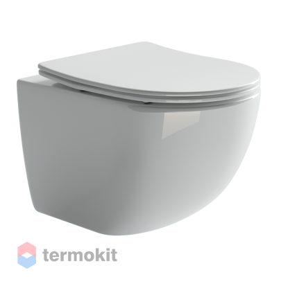 Унитаз подвесной Ceramicanova FORMA с сиденьем микролифт CN3009