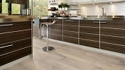Ламинат Wineo 300 Medium 731