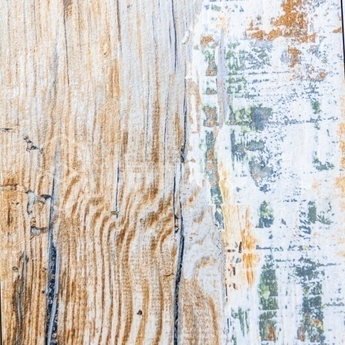 Керамогранит Peronda Foresta Pav. Unique/20 (20101) 20x122,5