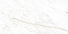 Керамогранит Ocean Ceramic Nero White 60x120