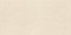 Керамогранит Enping Jingye Ceramic Basaltina FBA60121D матовый Rect 60x120