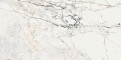 Керамогранит La Faenza Aesthetica AE PAO6 12 RM 60х120