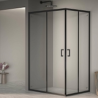 Душевой уголок RGW Passage PA-040B 1950x800x1000 черный 3508104080-14