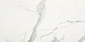 Керамогранит Impronta Italgraniti Marble Experience (+26637) Statuario Lux SQ. 60x120