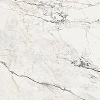 Керамогранит La Faenza Aesthetica AE PAO6 120 LP 120х120