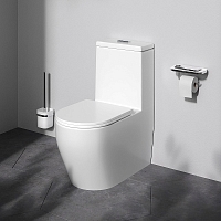 Унитаз напольный AM.PM Func безободковый с бачком с сиденьем микролифт C8F8900SC