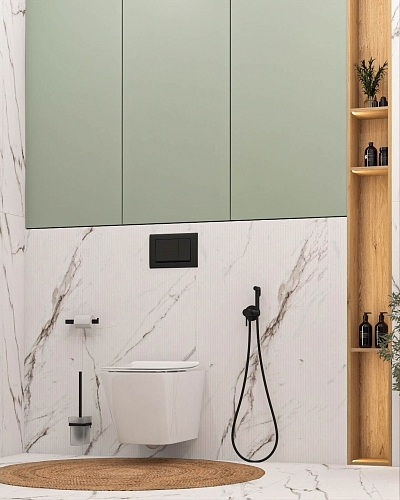 СЕНСО СТАТУАРИО