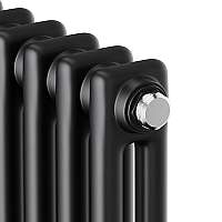 Стальной трубчатый радиатор Royal Thermo Insignia C2180/10 секций с боковым подключением черный RAL9005m