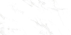 Керамогранит Neodom Splendida N12003 Venus Bianco Polished 60x120
