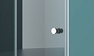 Душевая дверь BelBagno ALBANO 1000x1950 хром ALBANO-BS-12-100-C-Cr