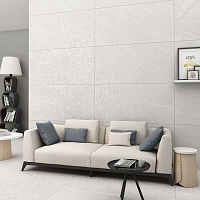 Керамогранит Evolution Ceramic Hawk Silver Carving 60x120