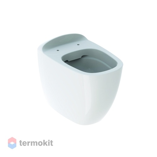 Чаша унитаза приставного Geberit Citterio 500.512.01.1