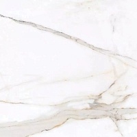 Керамогранит Primavera PR103 Regal Carara Polished 60x60