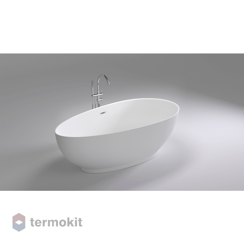 Акриловая ванна Black&White Swan 1800x900 SB106