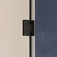 Душевая дверь RGW Hotel HO-011B 800х1950 черный 350601108-14 Уцененная