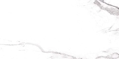 Керамогранит Prime Ceramics Carrara 60x120