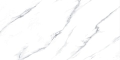 Керамогранит Fanal Carrara NPlus 60x120