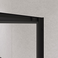 Душевой уголок RGW Passage PA-51B 1900x1000x1000 черный 02085100-14