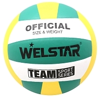 Волейбольный мяч Welstar р.5, VLPU4408