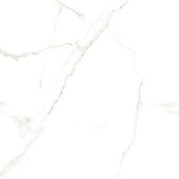 Керамогранит Velsaa Satvario Lite 60x60
