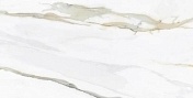 Керамогранит Tau Ceramica Emporio Calacatta Pulido 60х120