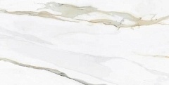 Керамогранит Tau Ceramica Emporio Calacatta Pulido 60х120